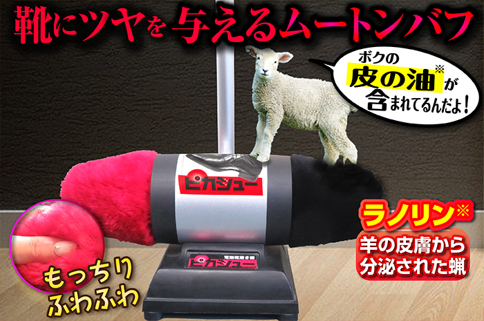 羊毛に付着している皮脂腺から分泌された蝋